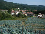 Vacanze Val di Vara :: Ristorante Val di Vara :: Cucina Val di Vara :: Locanda Val di Vara :: Val di Vara - Sesta Godano