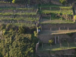 Vacanze 5 Terre :: Hotel 5 Terre :: Bed and Breakfast Cinque Terre :: Corniglia i vigneti